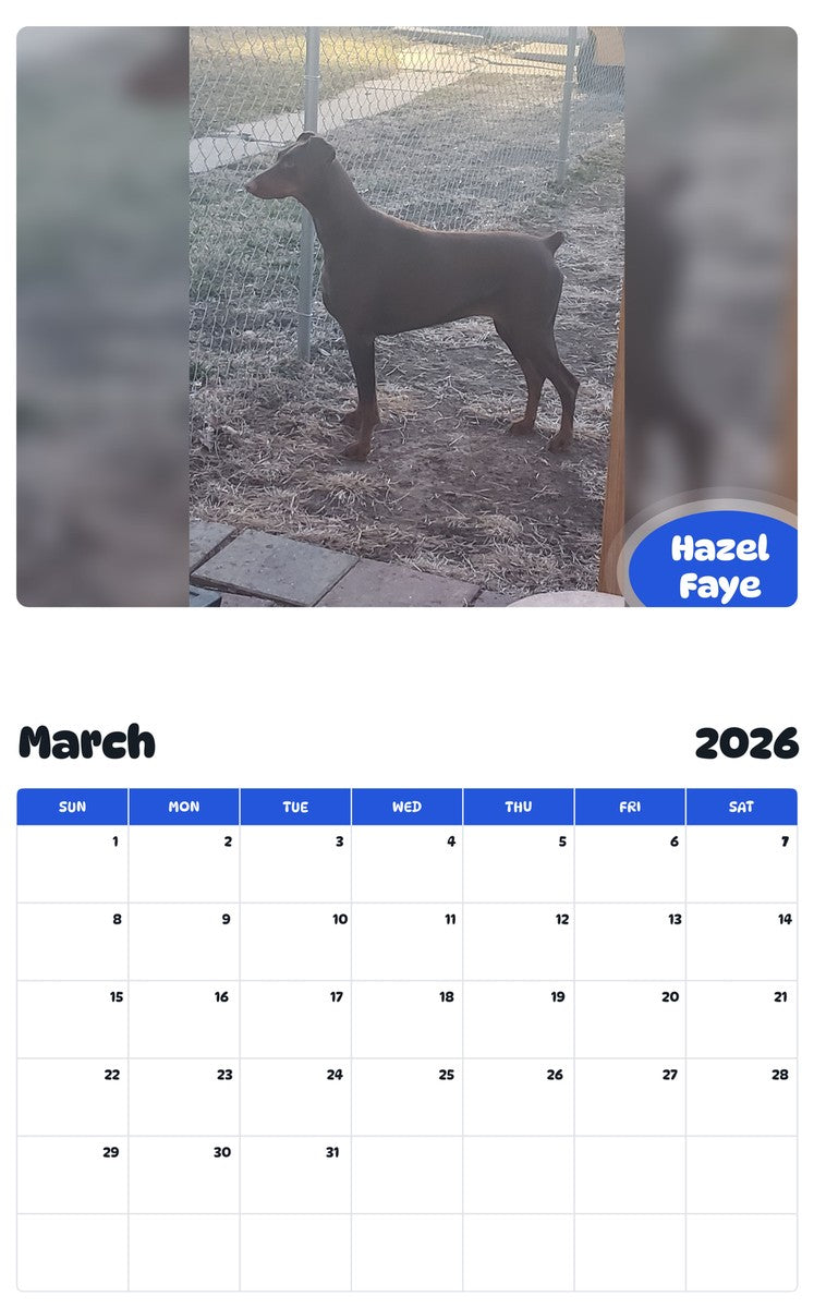 November 2025 - October 2026 Hazel Faye - Pawidols Pet Calendar