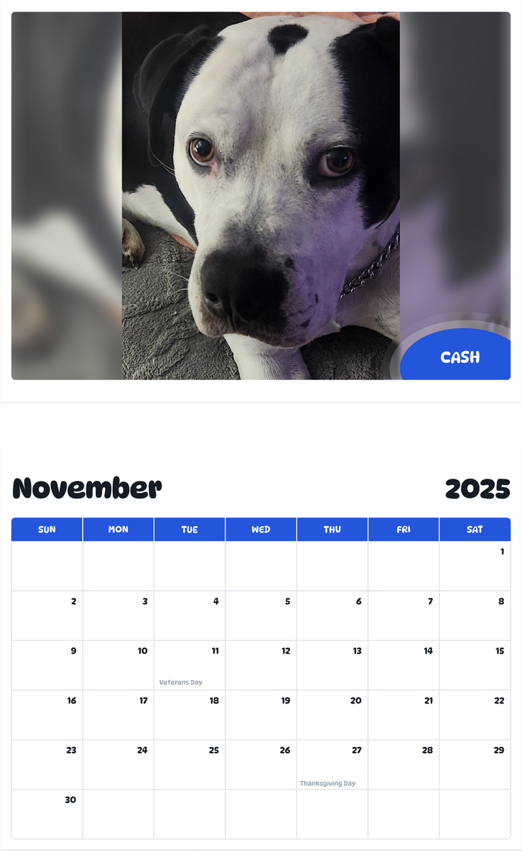 July 2025 - June 2026 Cash - Pawidols Pet Calendar