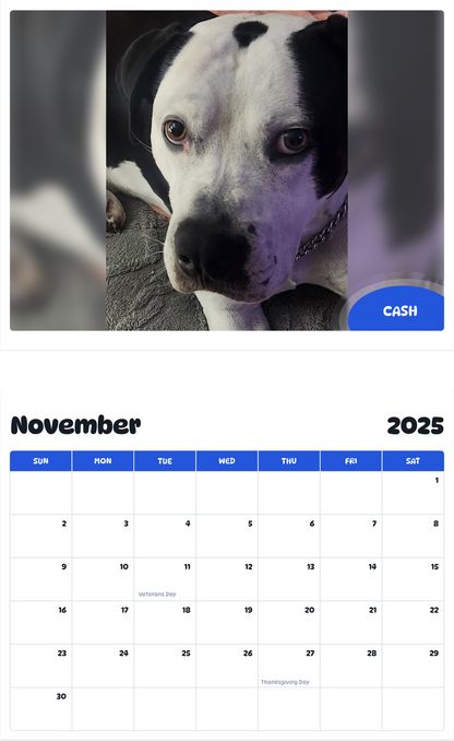 July 2025 - June 2026 Cash - Pawidols Pet Calendar