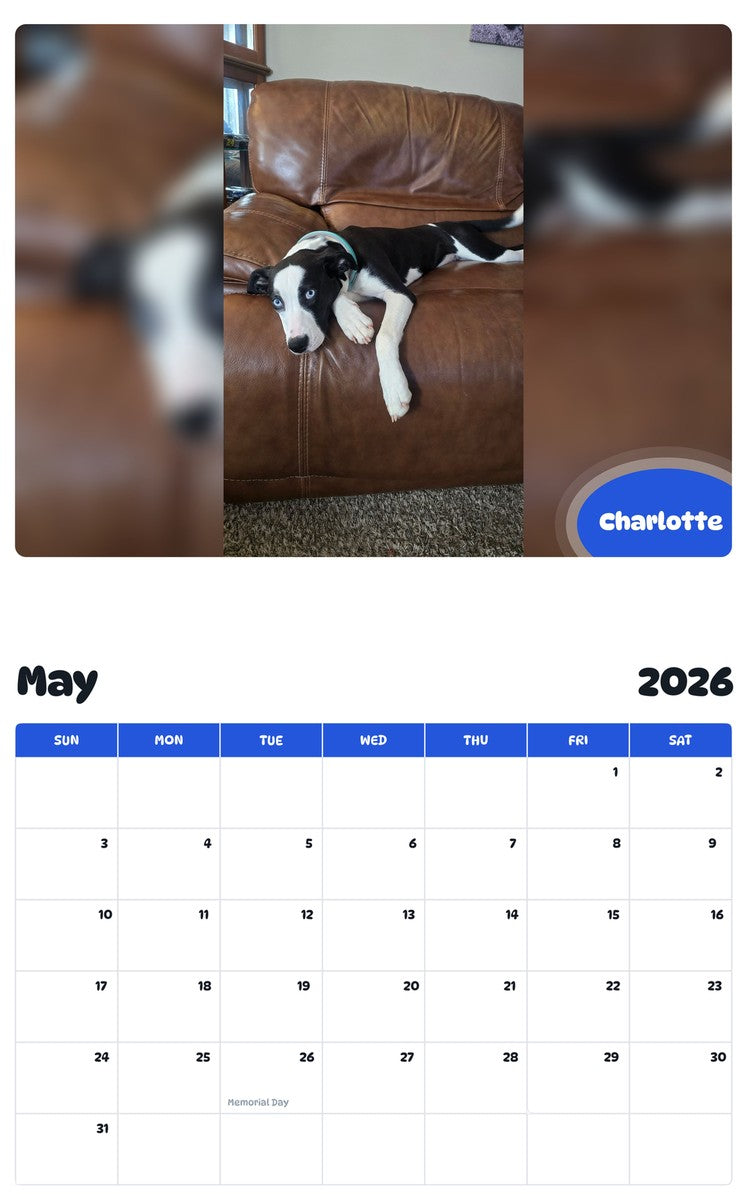 2026 - 2027 Charlotte - Pawidols Pet Calendar