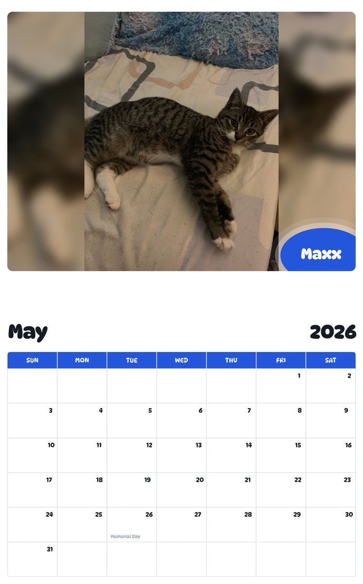 2026 - 2027 Maxx - Pawidols Pet Calendar
