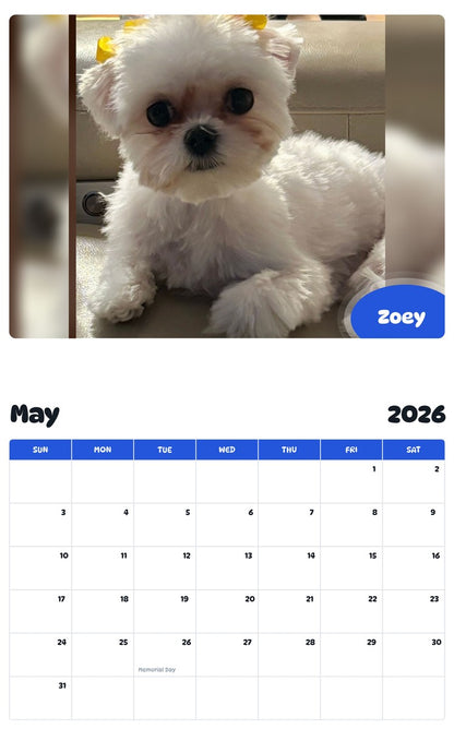 2026 - 2027 Zoey - Pawidols Pet Calendar