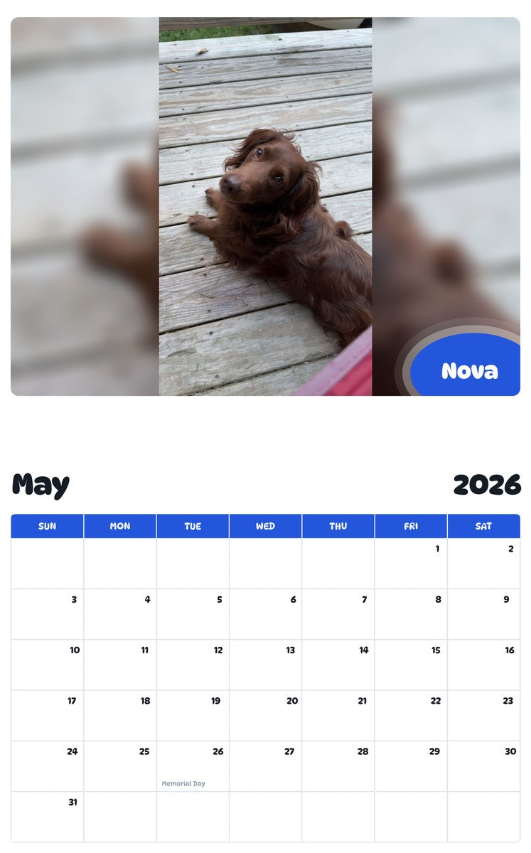2026 - 2027 Nova - Pawidols Pet Calendar
