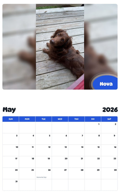 2026 - 2027 Nova - Pawidols Pet Calendar