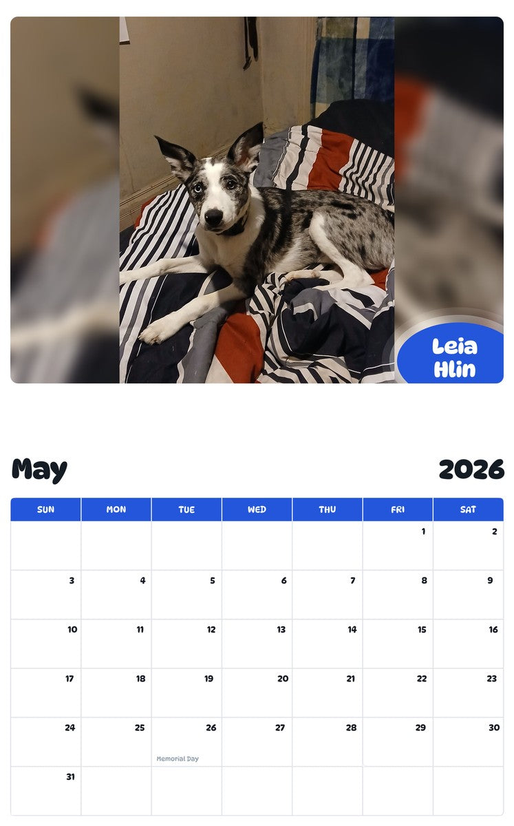 2026 - 2027 Leia Hlin - Pawidols Pet Calendar