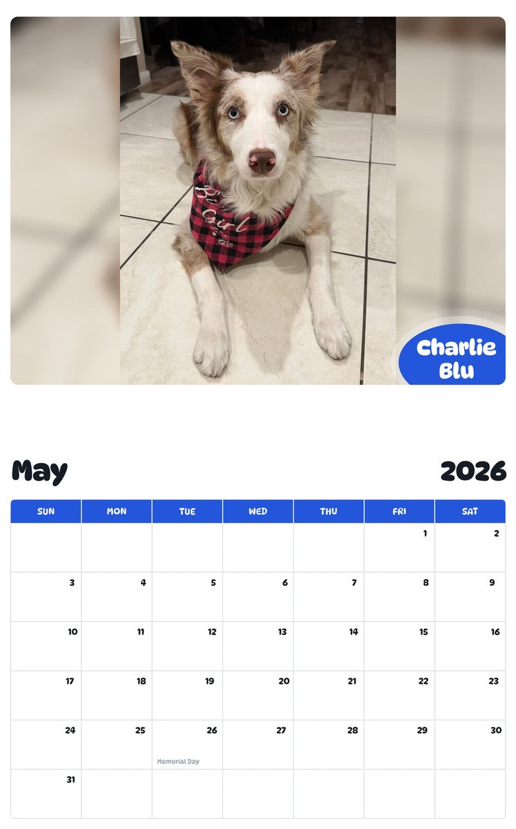 2026 - 2027 Charlie Blu - Pawidols Pet Calendar