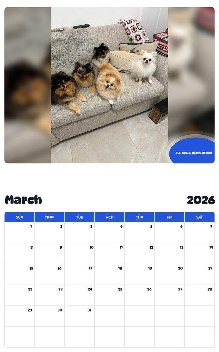 November 2025 - October 2026 Jlo, Adele, Olivia, Ariana - Pawidols Pet Calendar