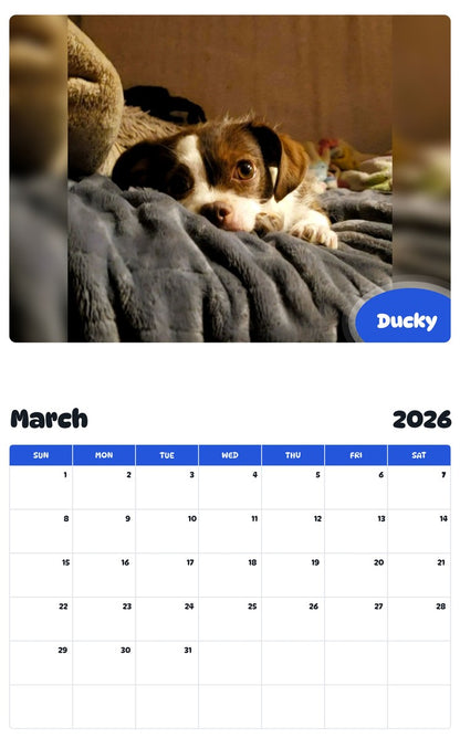 November 2025 - October 2026 Ducky - Pawidols Pet Calendar