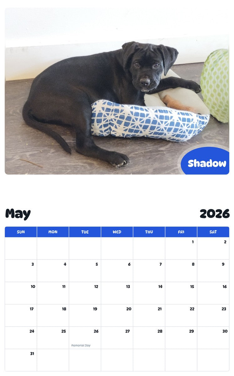 2026 - 2027 Shadow - Pawidols Pet Calendar