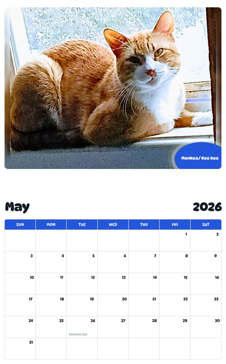 2026 - 2027 Monkee/ Kee kee - Pawidols Pet Calendar