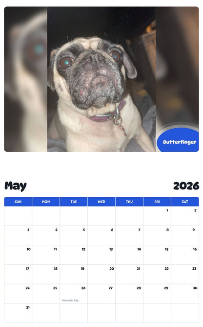 2026 - 2027 Butterfinger - Pawidols Pet Calendar