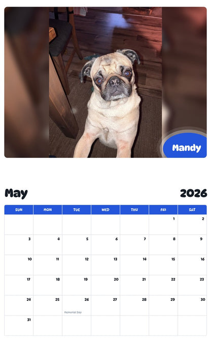 2026 - 2027 Mandy - Pawidols Pet Calendar