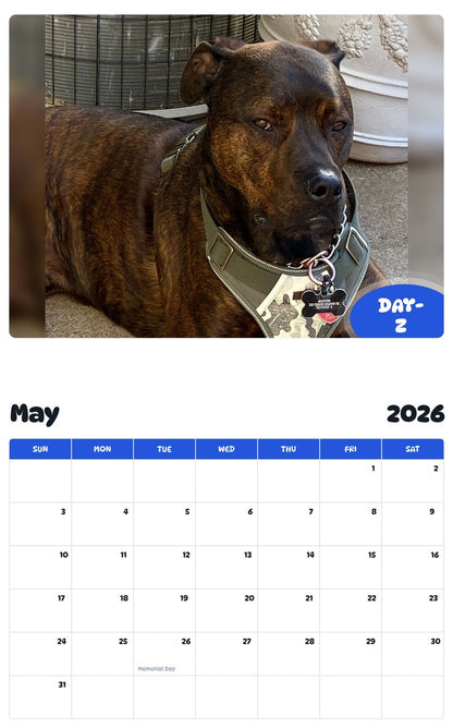 2026 - 2027 DAY-Z - Pawidols Pet Calendar