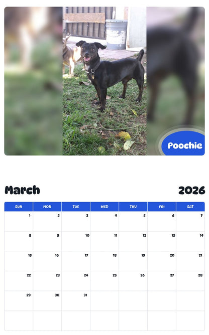 November 2025 - October 2026 Poochie - Pawidols Pet Calendar
