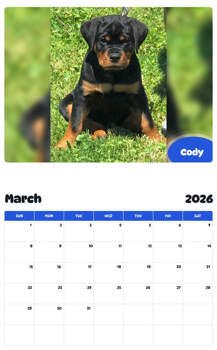 November 2025 - October 2026 Cody - Pawidols Pet Calendar