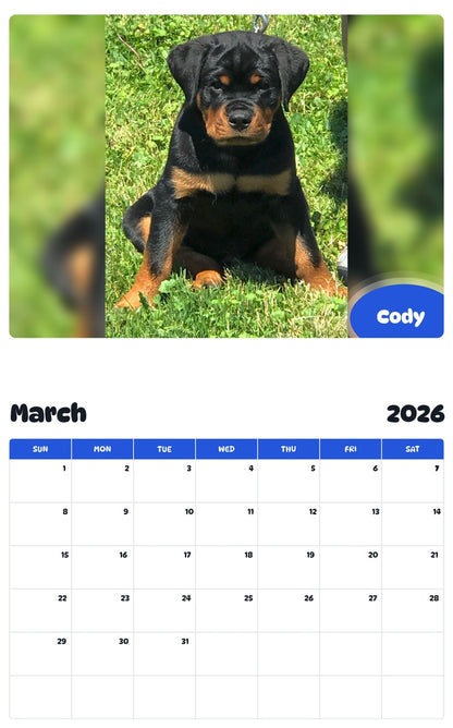 November 2025 - October 2026 Cody - Pawidols Pet Calendar