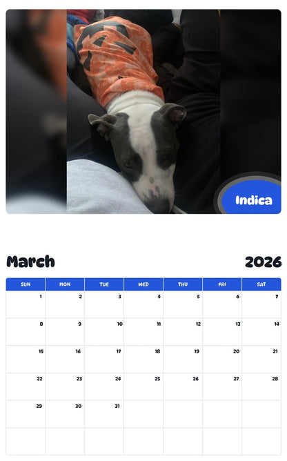 November 2025 - October 2026 Indica - Pawidols Pet Calendar
