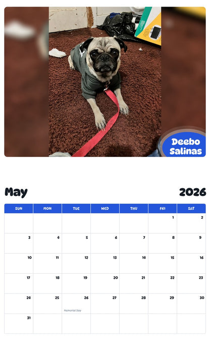 2026 - 2027 Deebo Salinas - Pawidols Pet Calendar