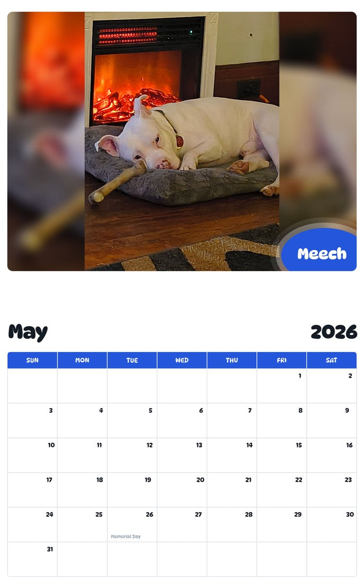2026 - 2027 Meech - Pawidols Pet Calendar