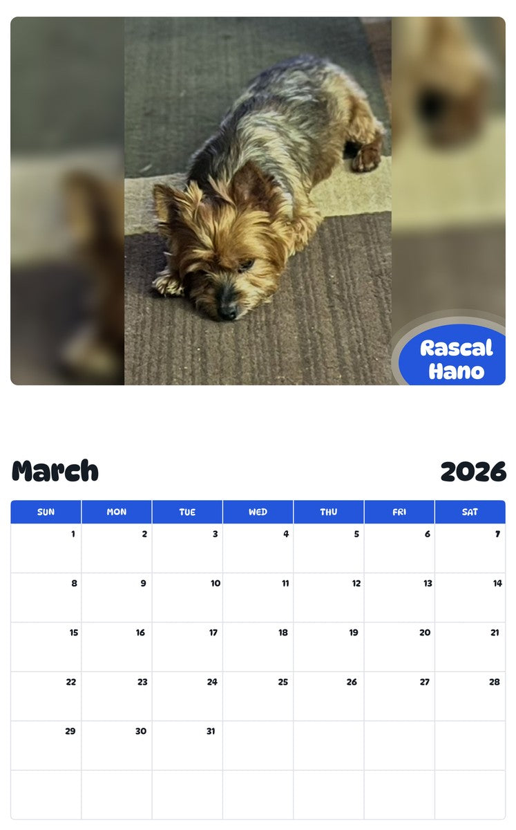 November 2025 - October 2026 Rascal Hano - Pawidols Pet Calendar
