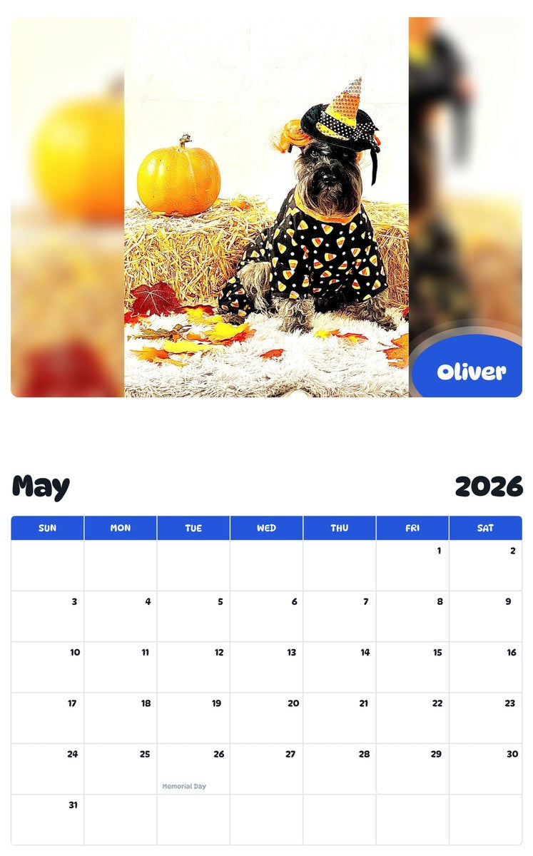 2026 - 2027 Oliver - Pawidols Pet Calendar