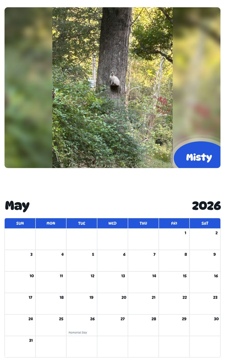 2026 - 2027 Misty - Pawidols Pet Calendar