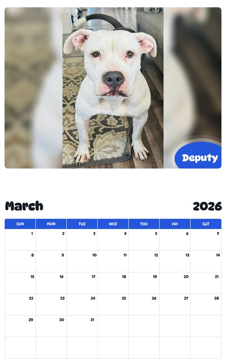 November 2025 - October 2026 Deputy - Pawidols Pet Calendar