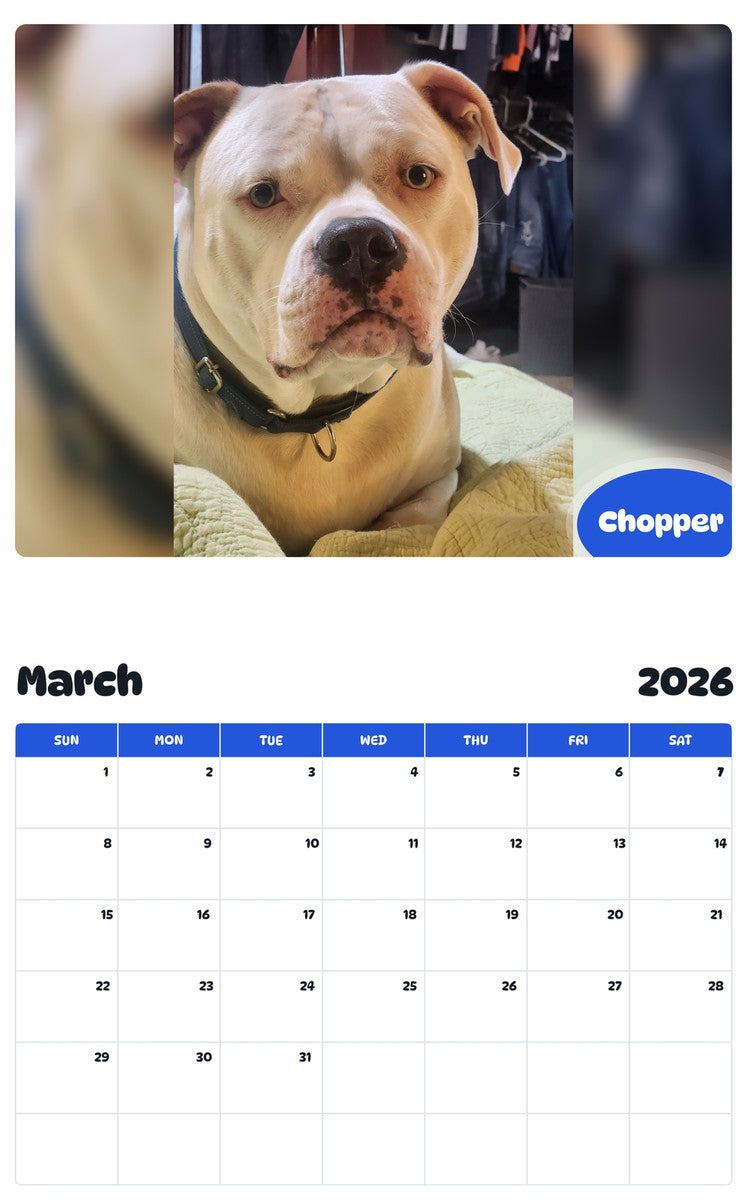 November 2025 - October 2026 Chopper - Pawidols Pet Calendar