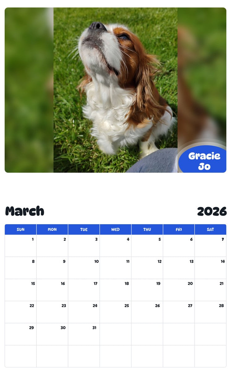 November 2025 - October 2026 Gracie Jo - Pawidols Pet Calendar