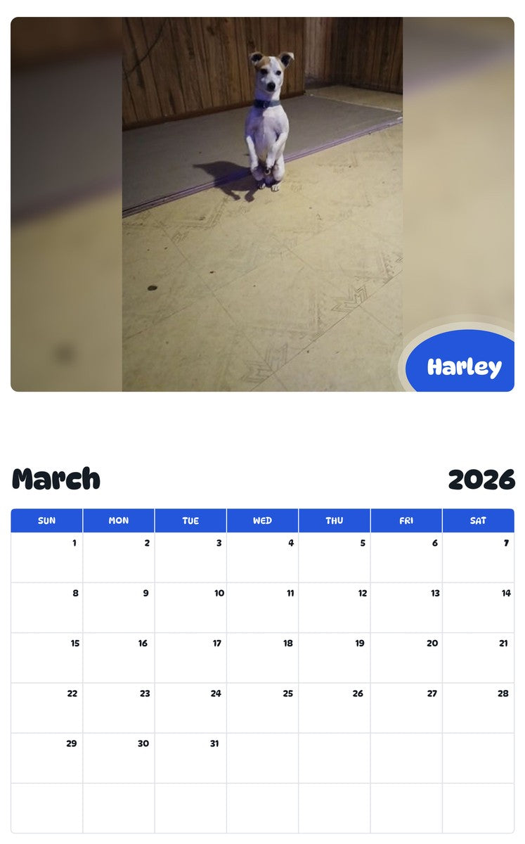 November 2025 - October 2026 Harley - Pawidols Pet Calendar