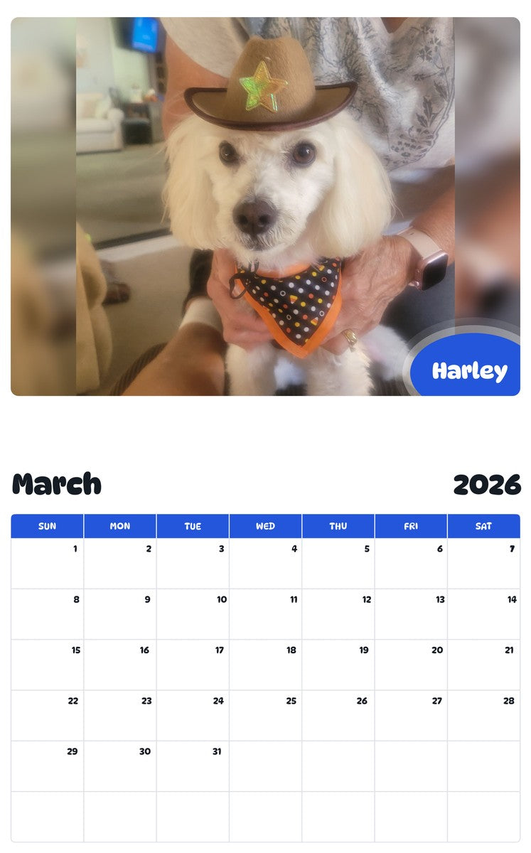 November 2025 - October 2026 Harley - Pawidols Pet Calendar