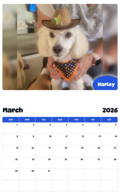 November 2025 - October 2026 Harley - Pawidols Pet Calendar