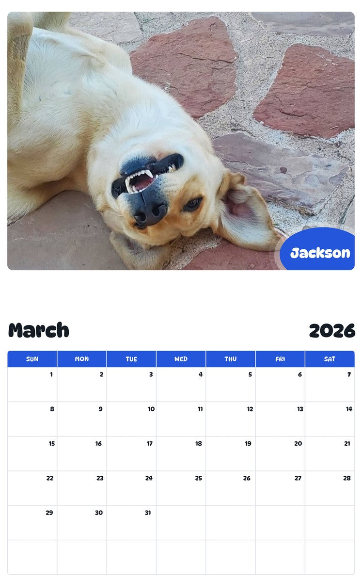 November 2025 - October 2026 Jackson - Pawidols Pet Calendar