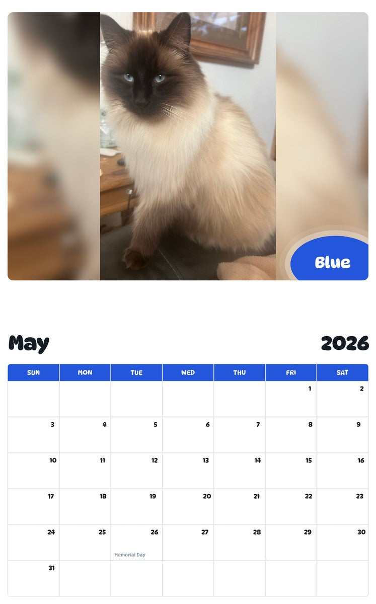 2026 - 2027 Blue - Pawidols Pet Calendar