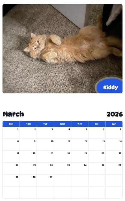 November 2025 - October 2026 Kiddy - Pawidols Pet Calendar