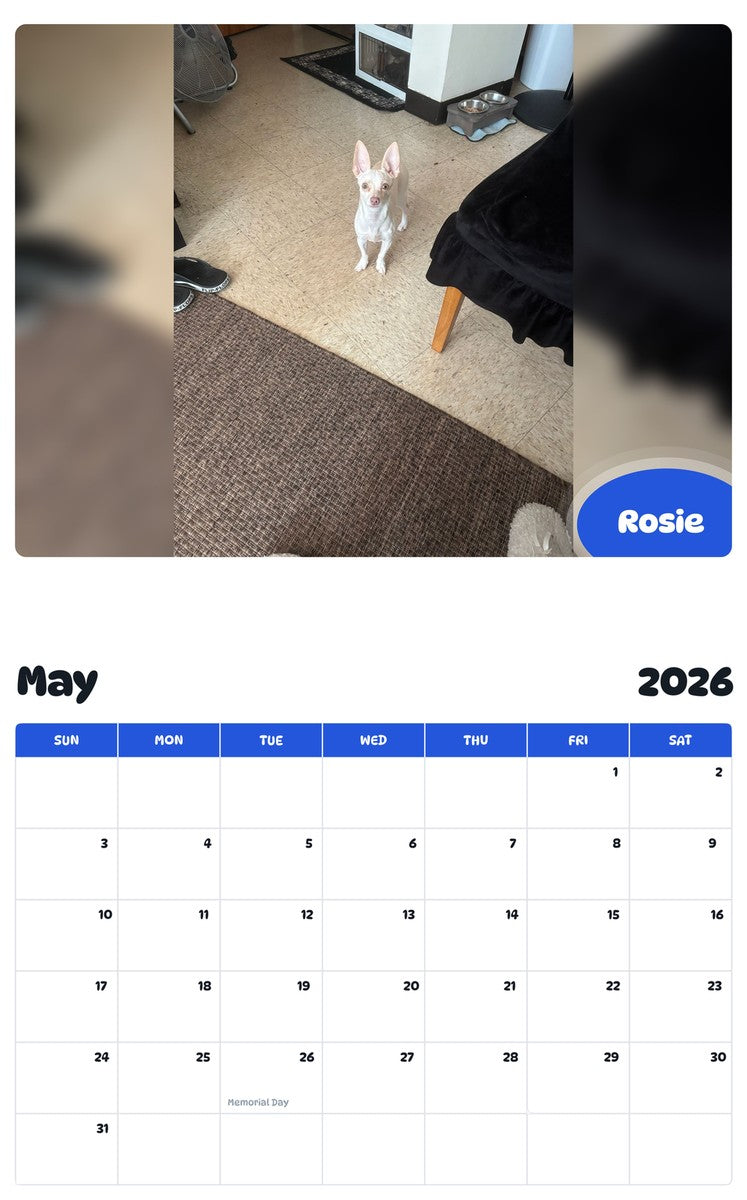 2026 - 2027 Rosie - Pawidols Pet Calendar