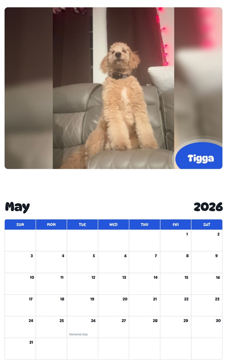 2026 - 2027 Tigga - Pawidols Pet Calendar