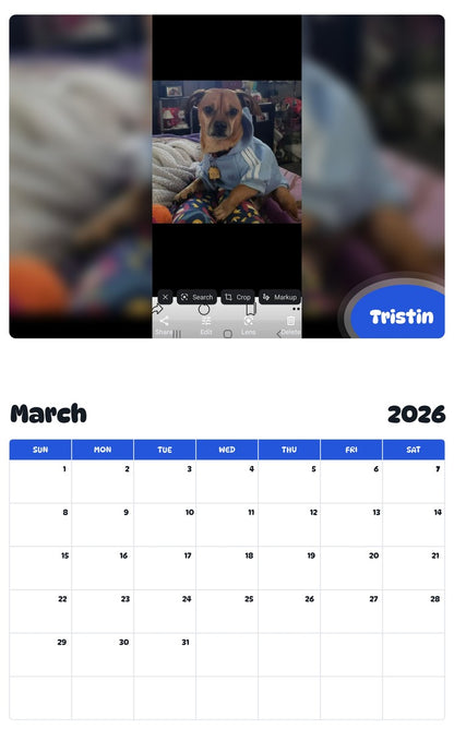 November 2025 - October 2026 Tristin - Pawidols Pet Calendar