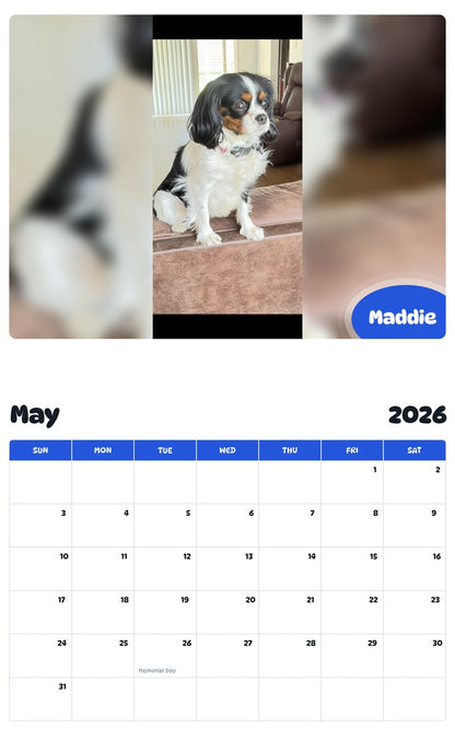 2026 - 2027 Maddie - Pawidols Pet Calendar