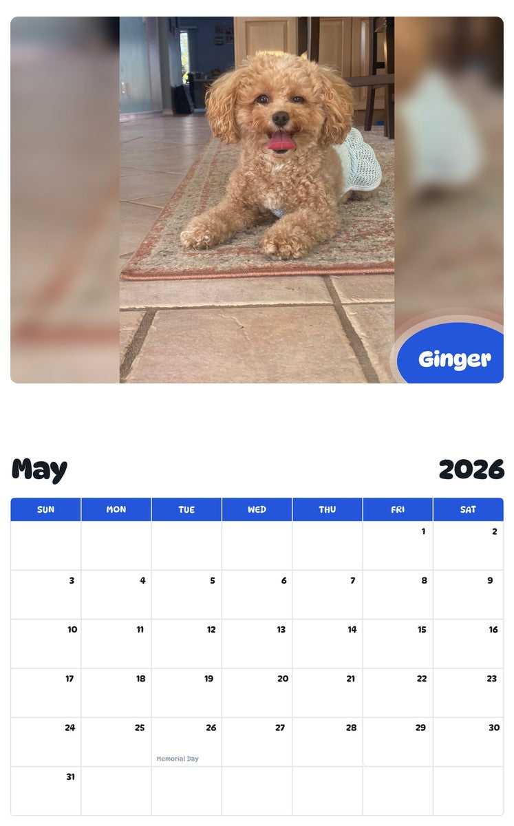 2026 - 2027 Ginger - Pawidols Pet Calendar