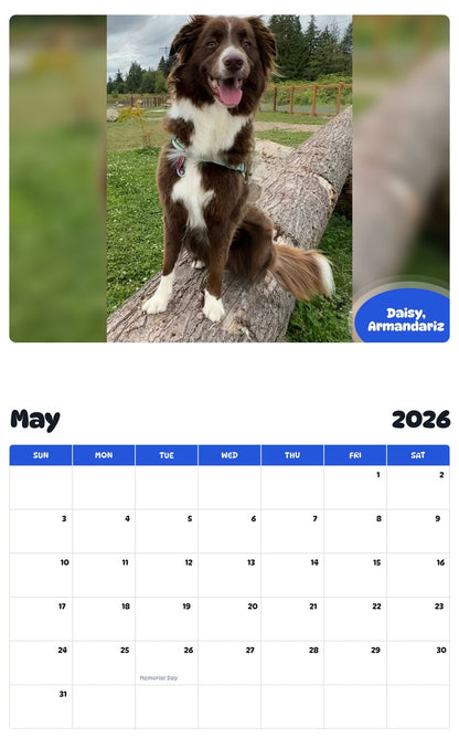2026 - 2027 Daisy, Armandariz - Pawidols Pet Calendar