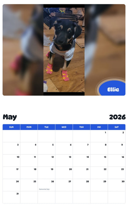 2026 - 2027 Ellie - Pawidols Pet Calendar
