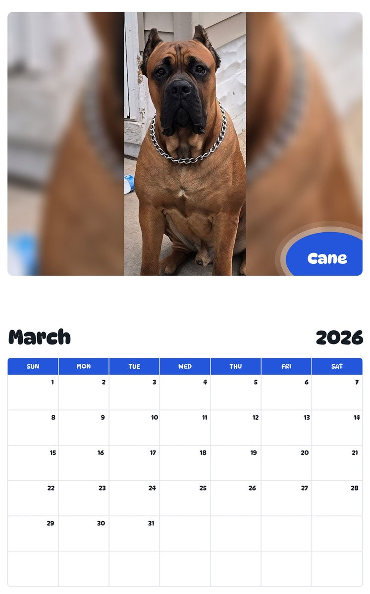 November 2025 - October 2026 Cane - Pawidols Pet Calendar