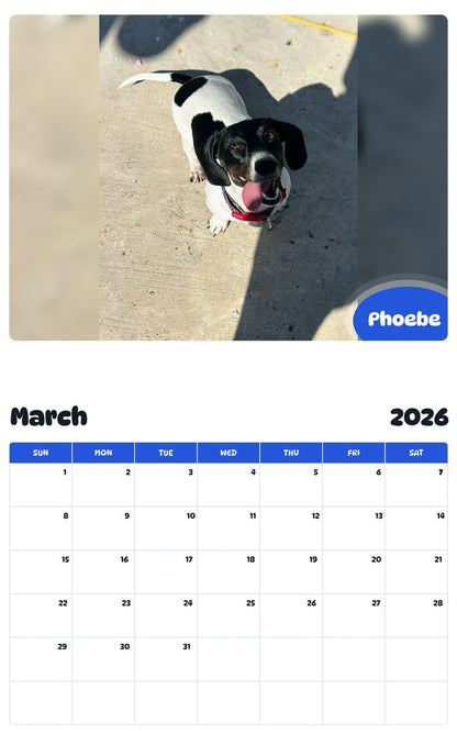 November 2025 - October 2026 Phoebe - Pawidols Pet Calendar