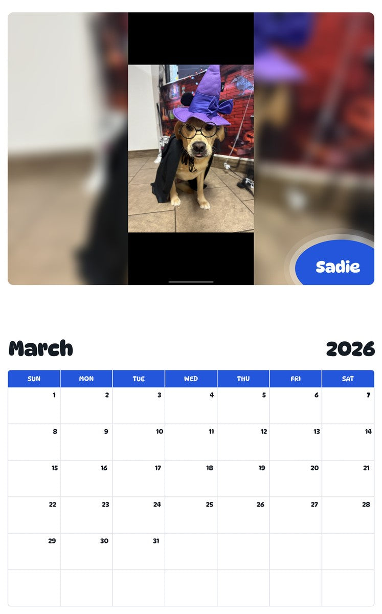 November 2025 - October 2026 Sadie - Pawidols Pet Calendar