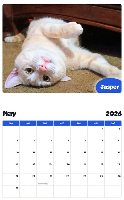 2026 - 2027 Jasper - Pawidols Pet Calendar
