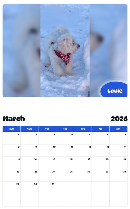 November 2025 - October 2026 Louie - Pawidols Pet Calendar