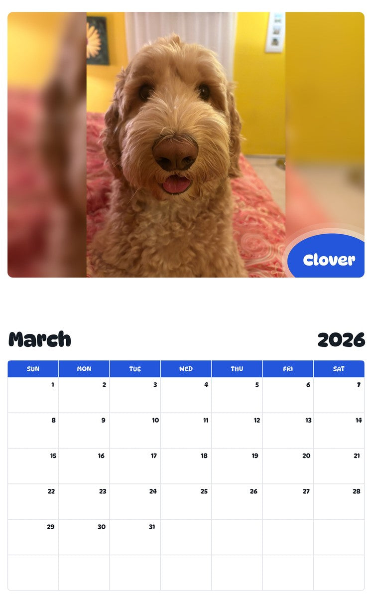 November 2025 - October 2026 Clover - Pawidols Pet Calendar