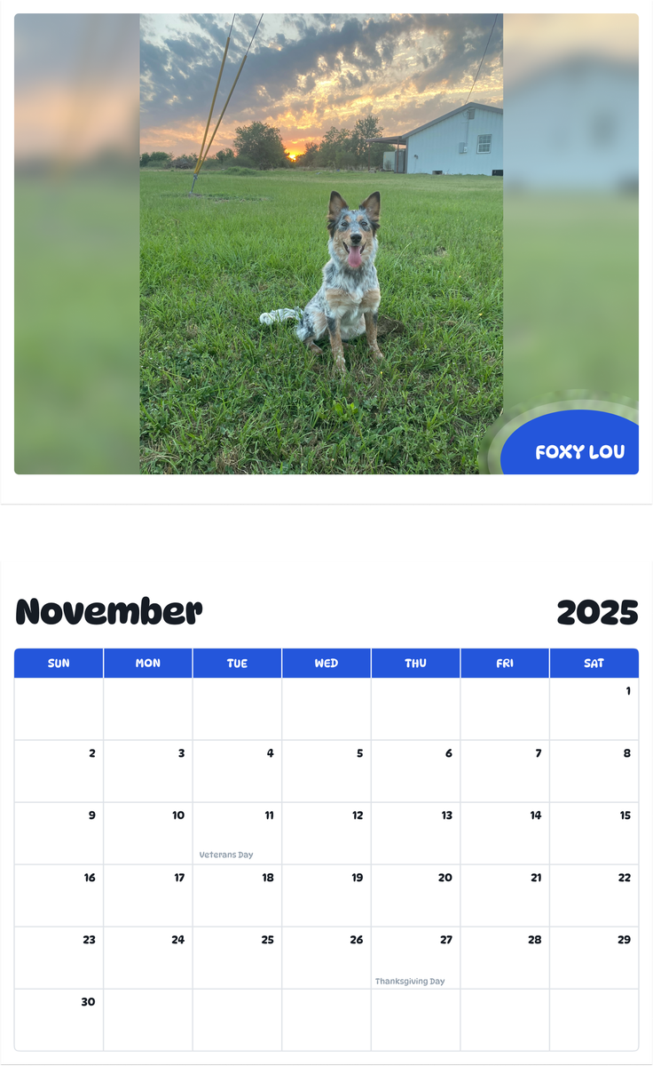 July 2025 - June 2026 Foxy Lou - Pawidols Pet Calendar