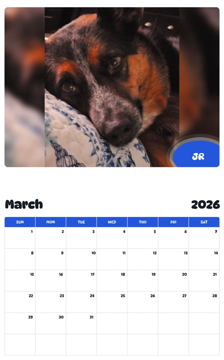 November 2025 - October 2026 JR - Pawidols Pet Calendar